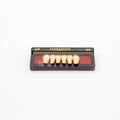 Tablilla de Dientes newtek Anteriores Inferiores 2P 62