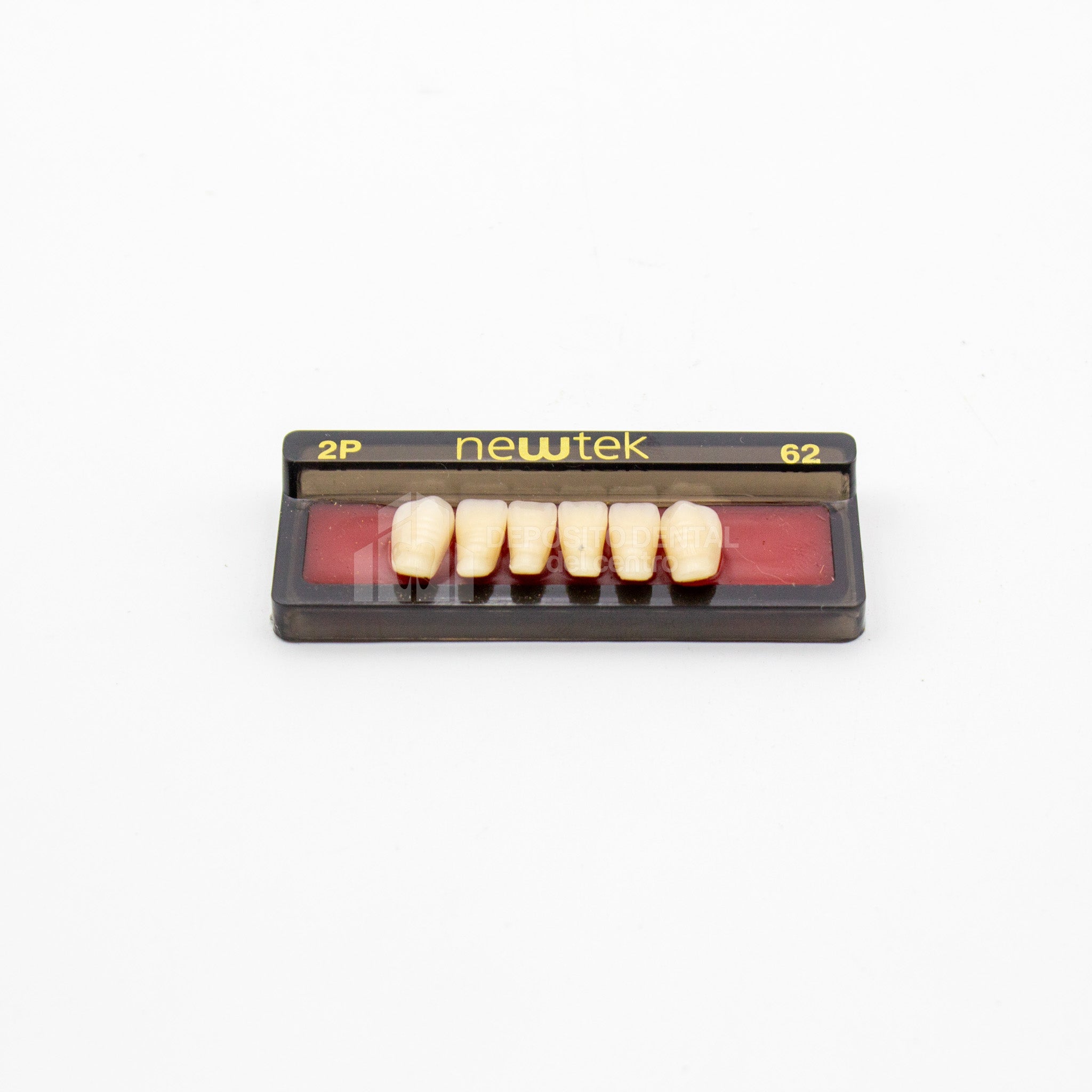 Tablilla de Dientes newtek Anteriores Inferiores 2P 62