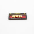 Tablilla de Dientes newtek Anteriores Inferiores 3N 65