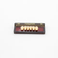 Tablilla de Dientes newtek Anteriores Inferiores 3D 66