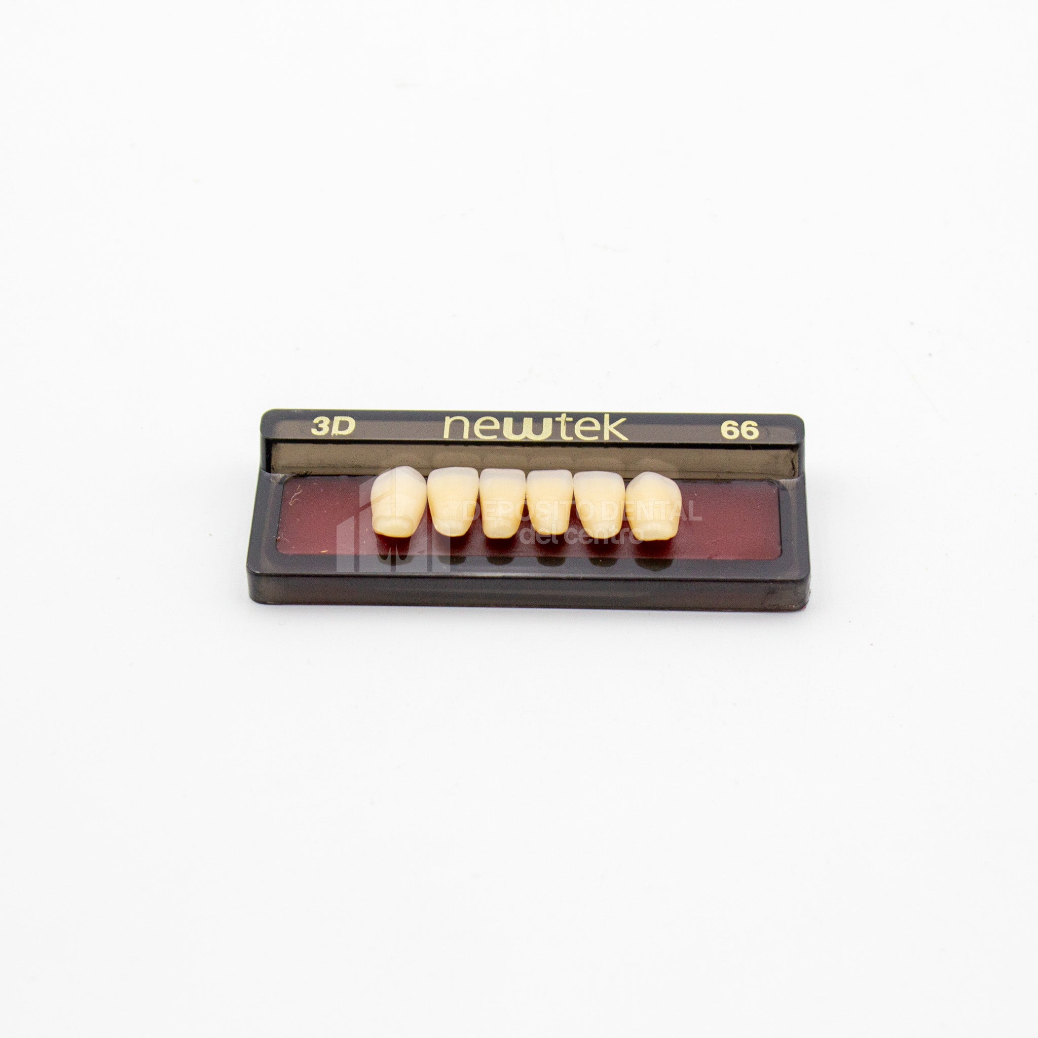 Tablilla de Dientes newtek Anteriores Inferiores 3D 66