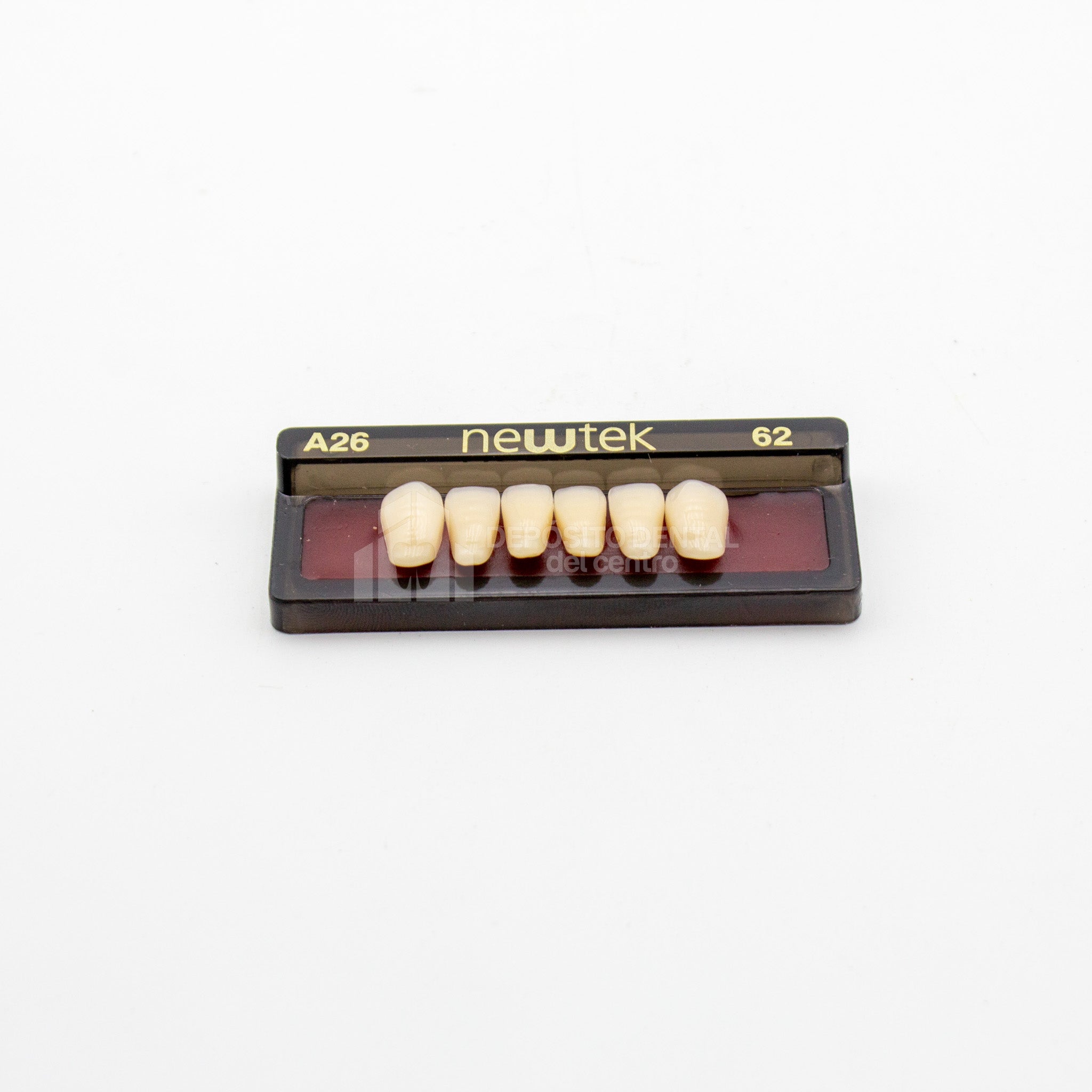 Tablilla de Dientes newtek Anteriores Inferiores A26 62
