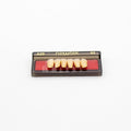 Tablilla de Dientes newtek Anteriores Inferiores A25 65