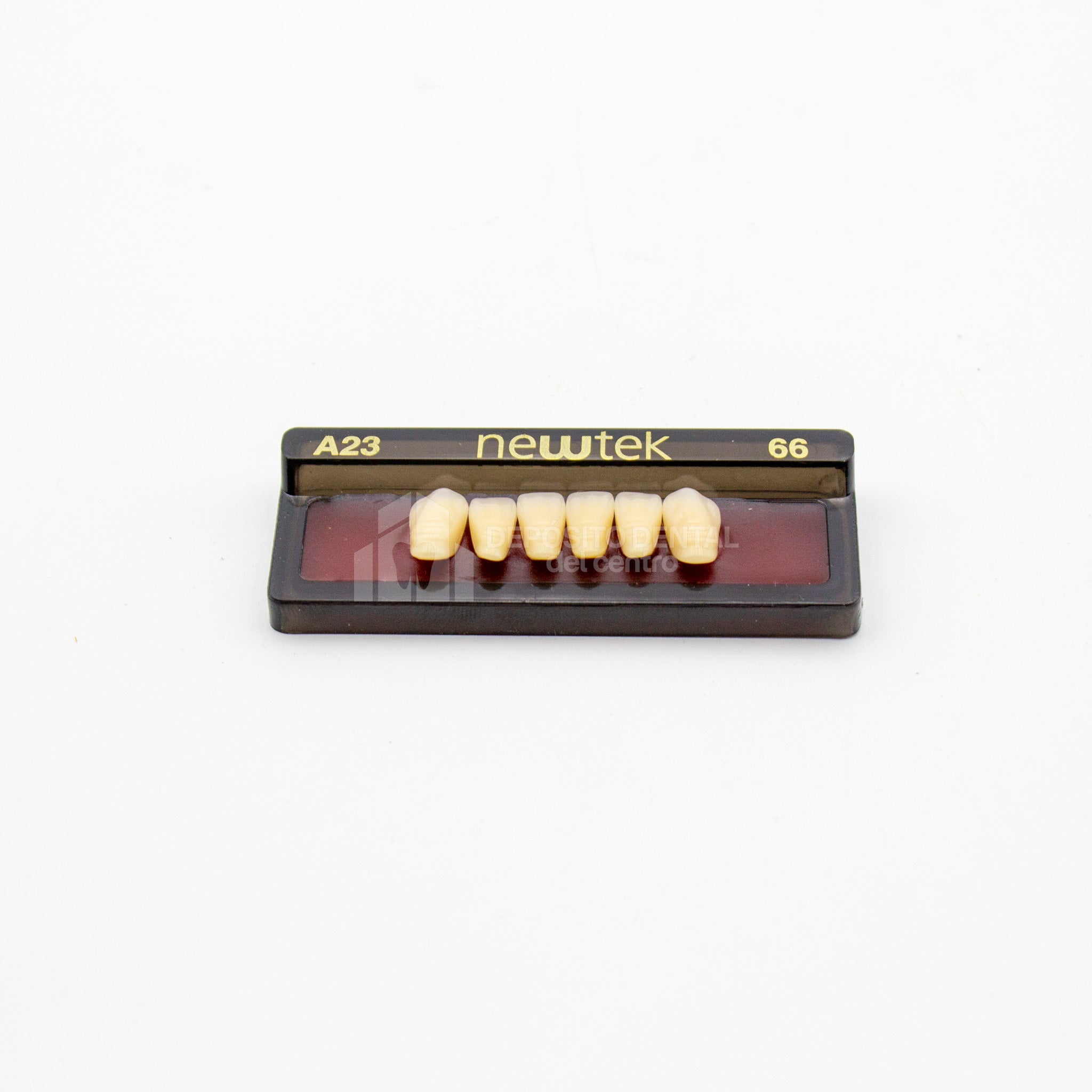 Tablilla de Dientes newtek Anteriores Inferiores A23 66