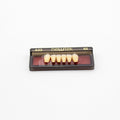 Tablilla de Dientes newtek Anteriores Inferiores A23 65