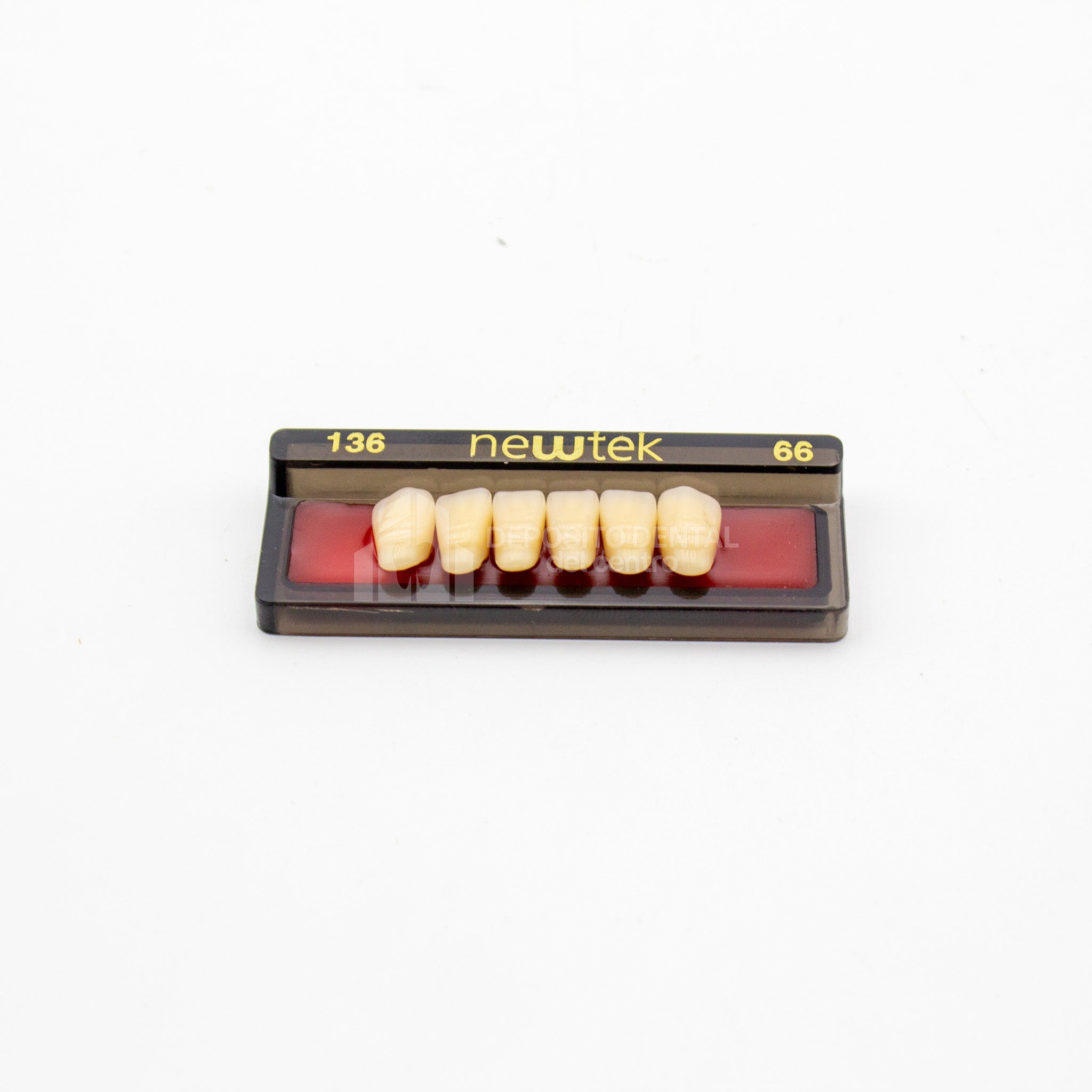 Tablilla de Dientes newtek Anteriores Inferiores 136 66