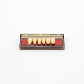Tablilla de Dientes newtek Anteriores Inferiores 136 65