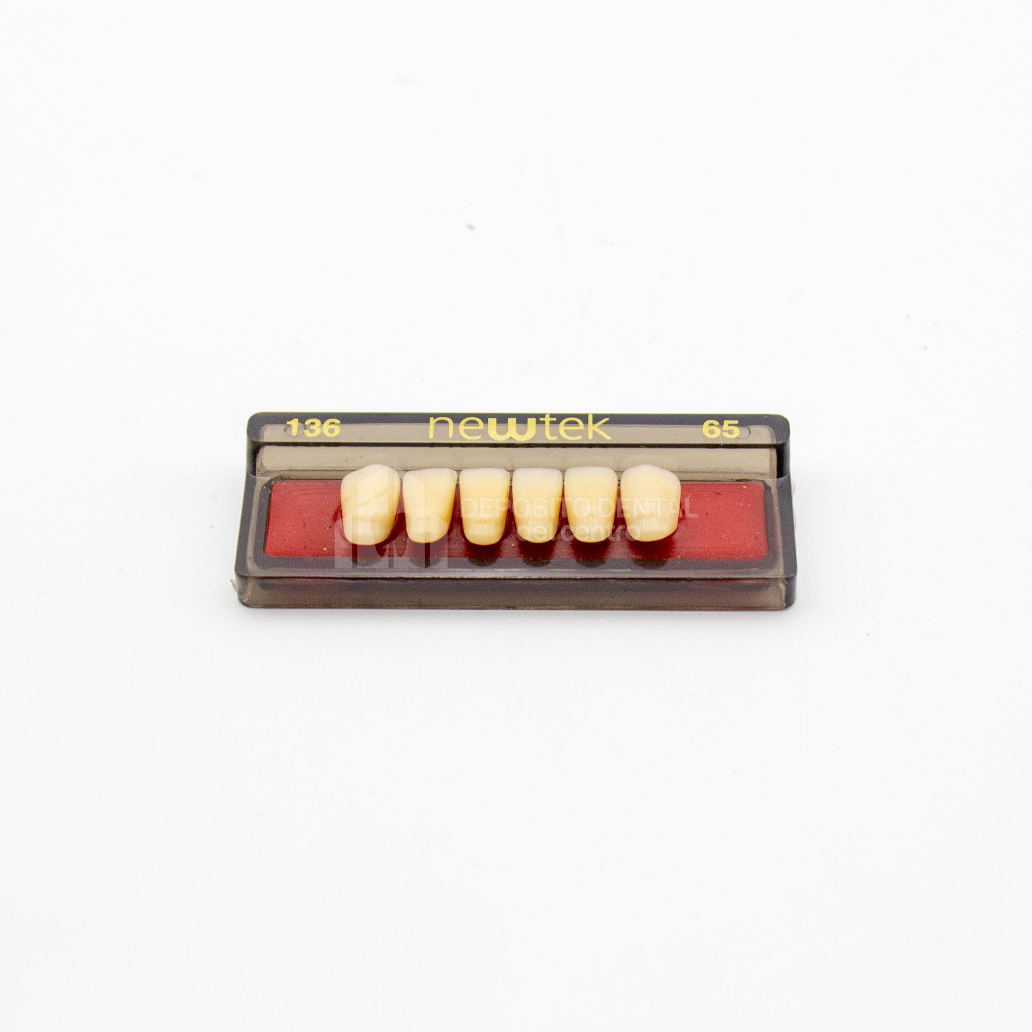 Tablilla de Dientes newtek Anteriores Inferiores 136 65
