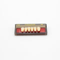 Tablilla de Dientes newtek Anteriores Inferiores 136 62