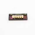 Tablilla de Dientes newtek Anteriores Inferiores 267 66