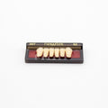 Tablilla de Dientes newtek Anteriores Inferiores 267 62