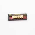 Tablilla de Dientes newtek Anteriores Inferiores 266 65
