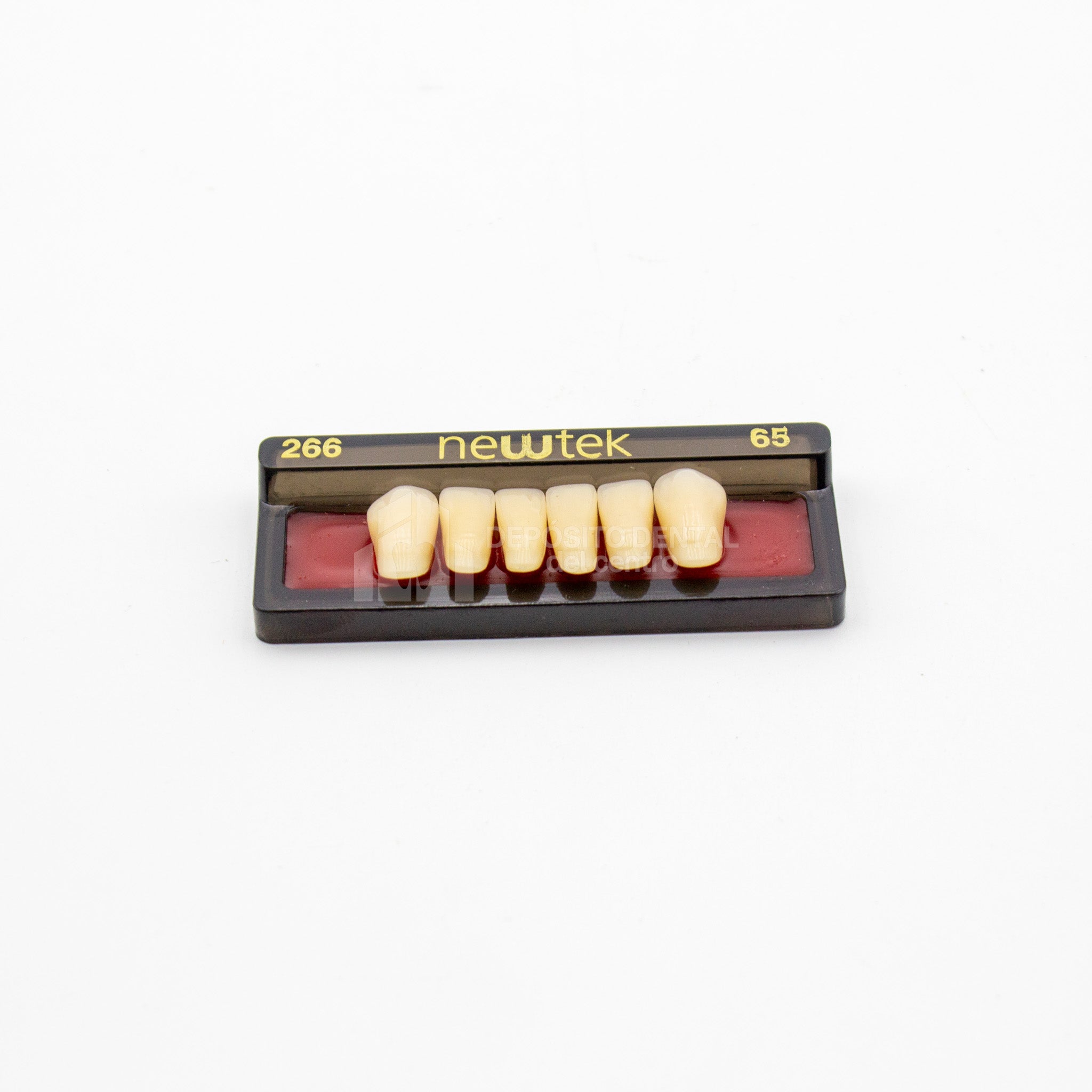 Tablilla de Dientes newtek Anteriores Inferiores 266 65
