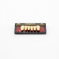 Tablilla de Dientes newtek Anteriores Inferiores 266 62
