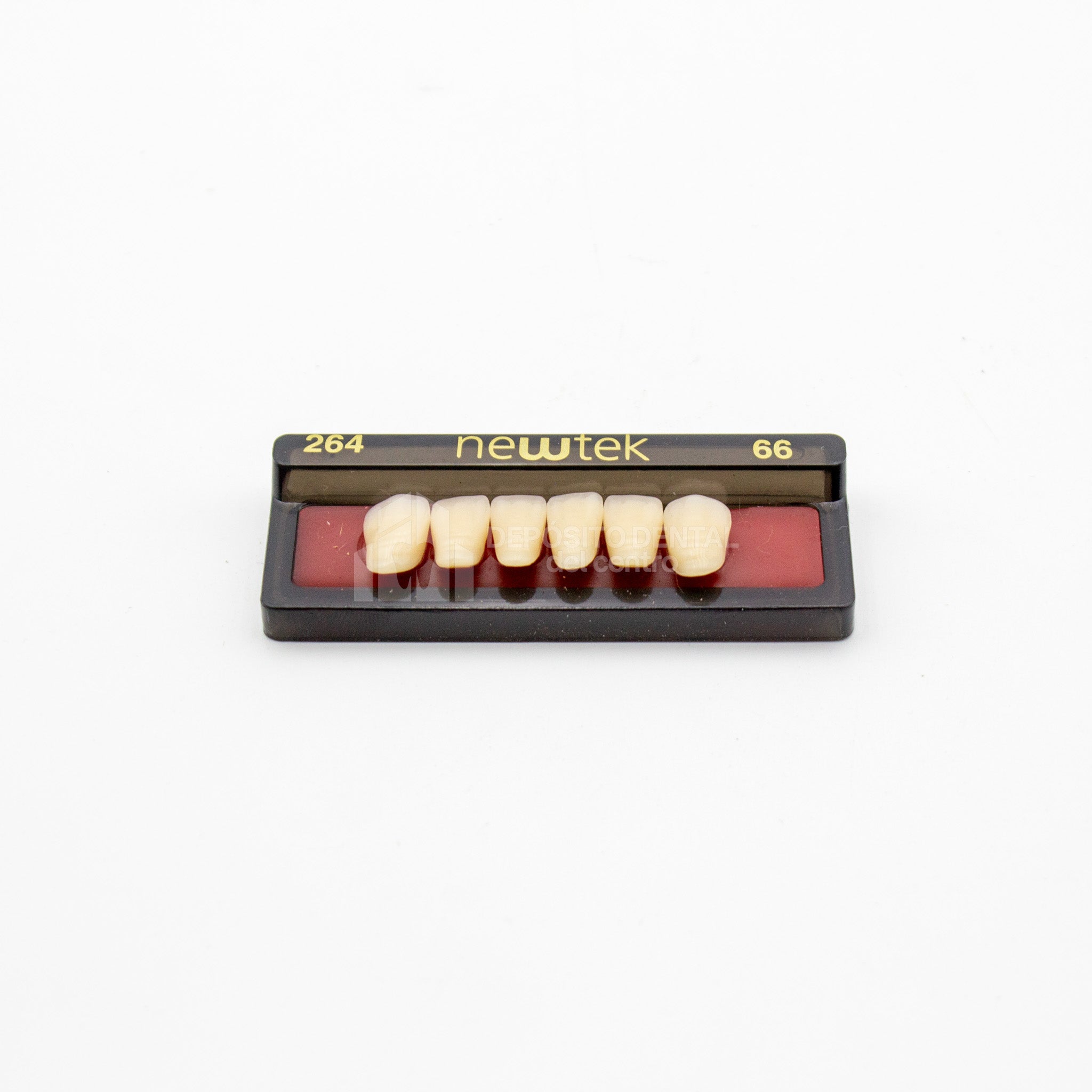 Tablilla de Dientes newtek Anteriores Inferiores 264 66