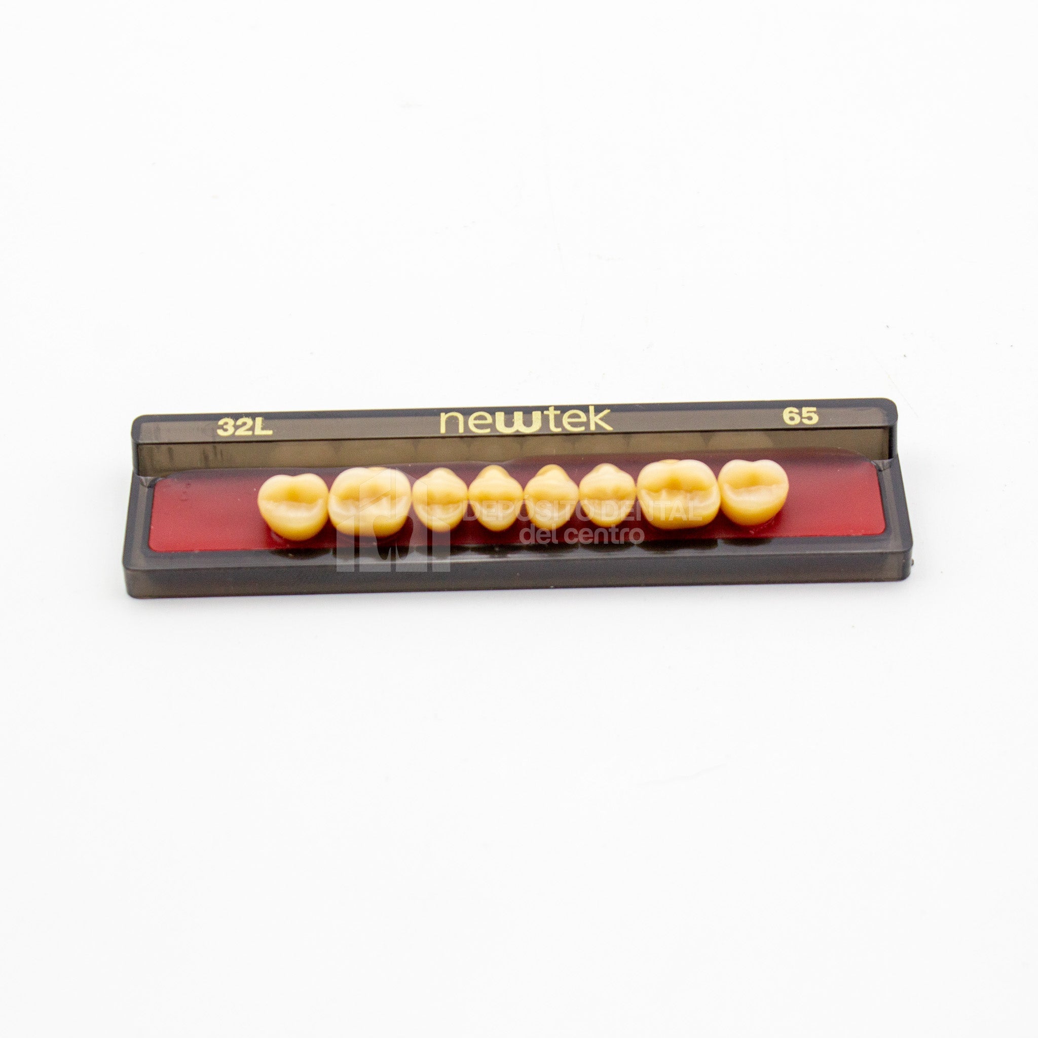 Tablilla de Dientes newtek Posteriores Superiores 32L 65