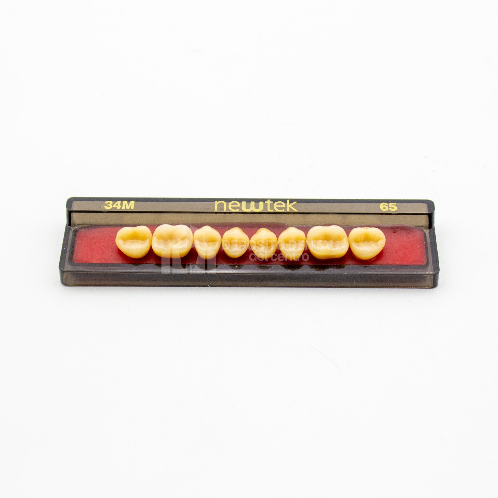 Tablilla de Dientes newtek Posteriores Superiores 34M 65