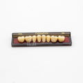 Tablilla de Dientes newtek Posteriores Inferiores 34L 66