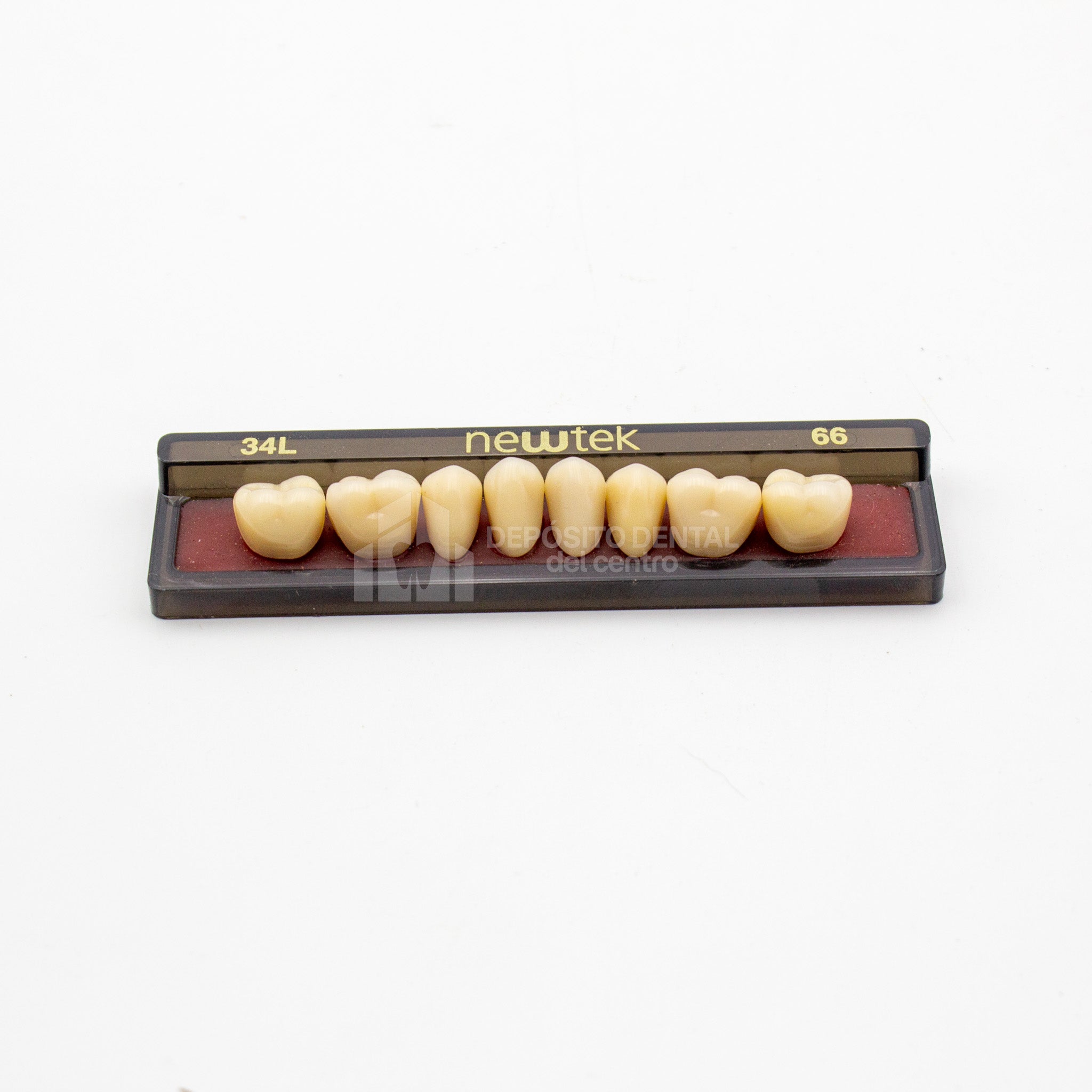 Tablilla de Dientes newtek Posteriores Inferiores 34L 66