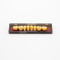 Tablilla de Dientes newtek Posteriores Inferiores 34L 65