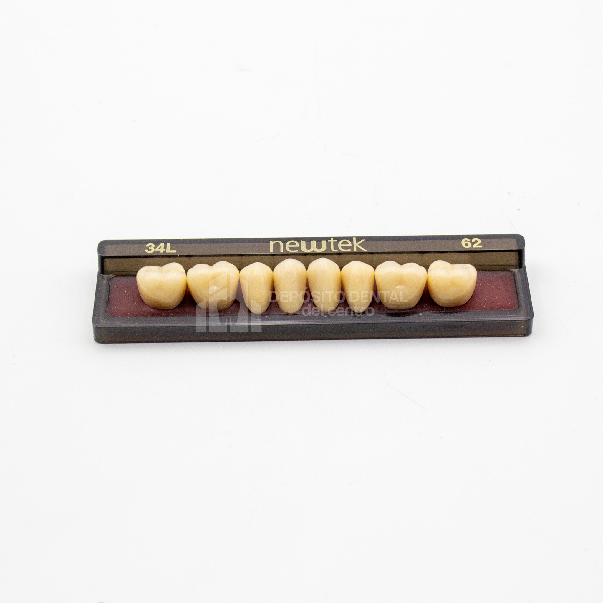 Tablilla de Dientes newtek Posteriores Inferiores 34L 62
