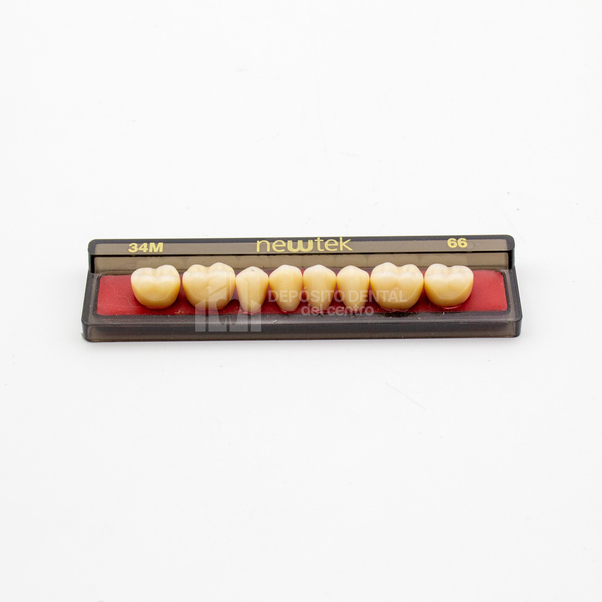 Tablilla de Dientes newtek Posteriores Inferiores 34M 66