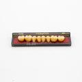 Tablilla de Dientes newtek Posteriores Inferiores 34M 65