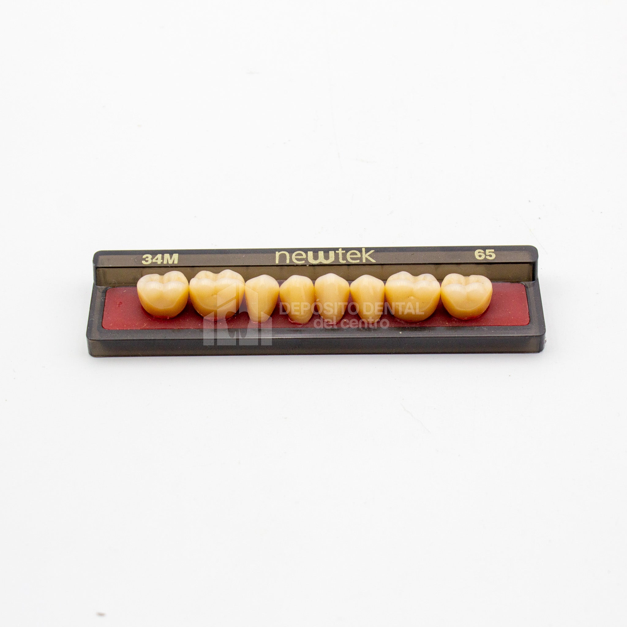 Tablilla de Dientes newtek Posteriores Inferiores 34M 65