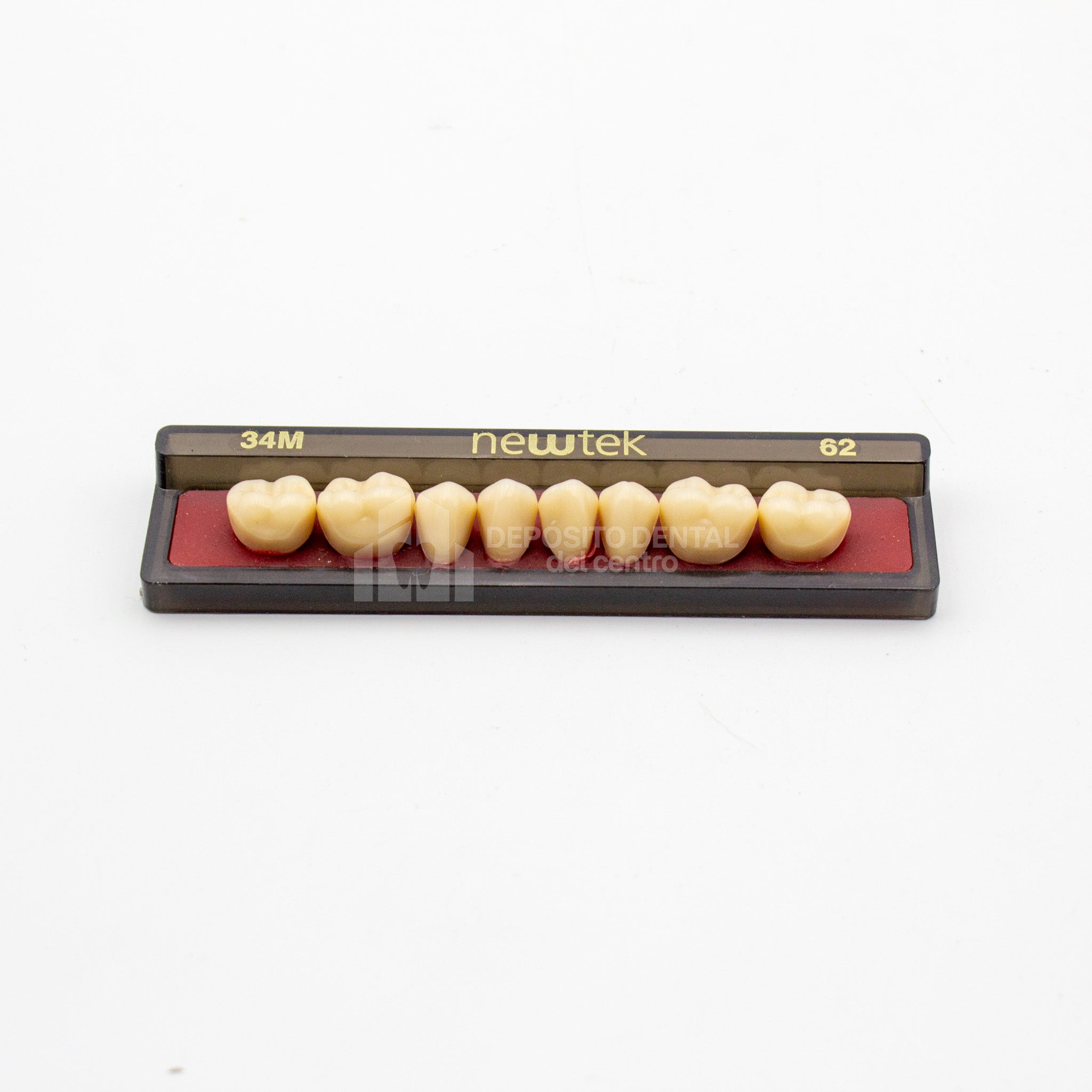 Tablilla de Dientes newtek Posteriores Inferiores 34M 62