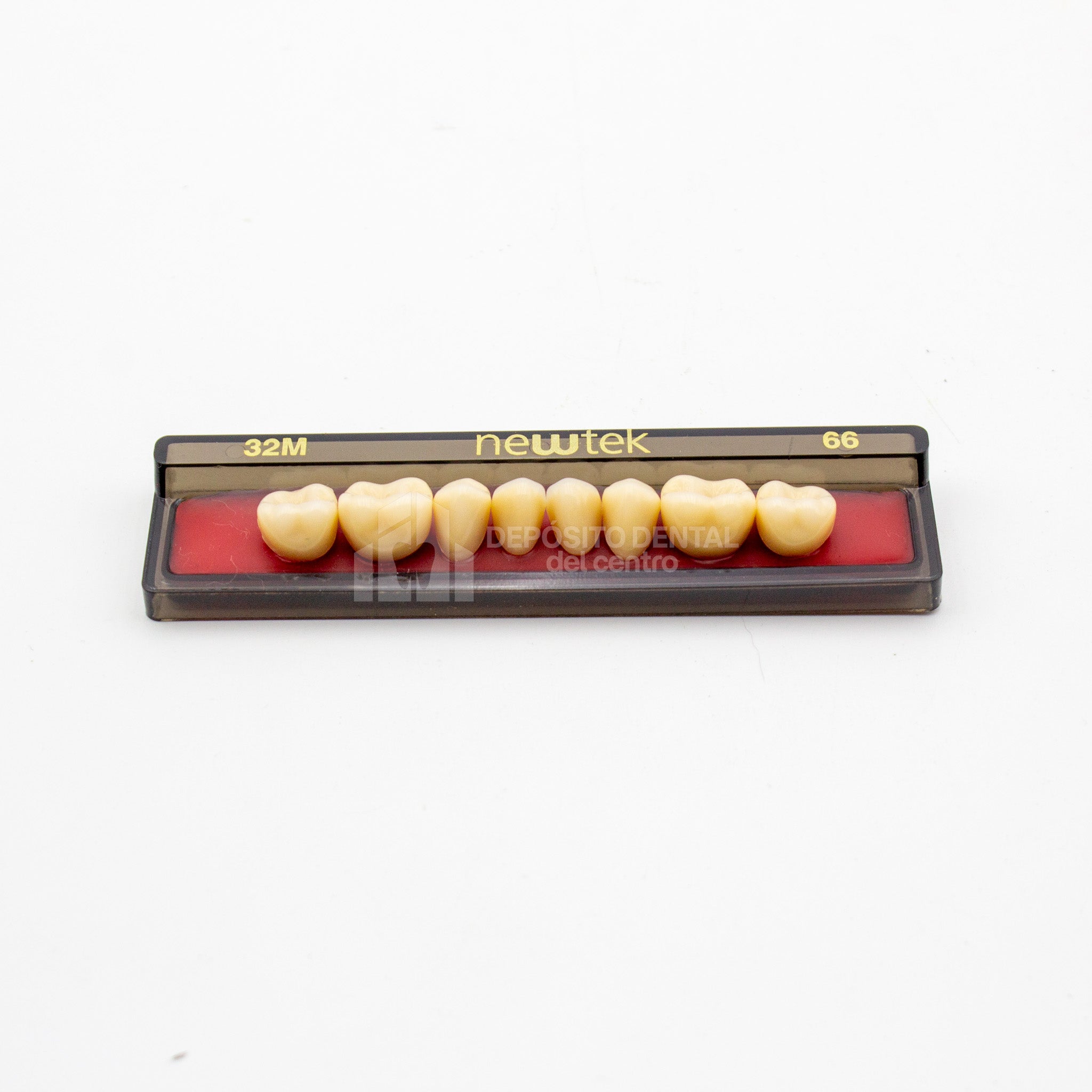 Tablilla de Dientes newtek Posteriores Inferiores 32M 66