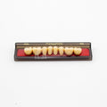 Tablilla de Dientes newtek Posteriores Inferiores 32L 66