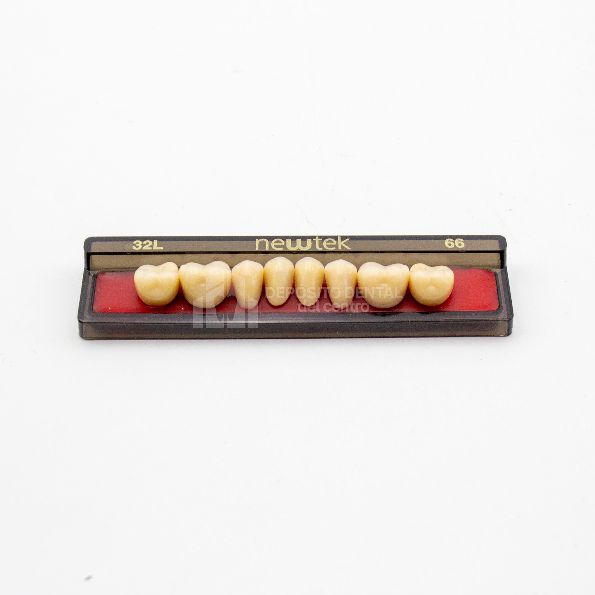 Tablilla de Dientes newtek Posteriores Inferiores 32L 66