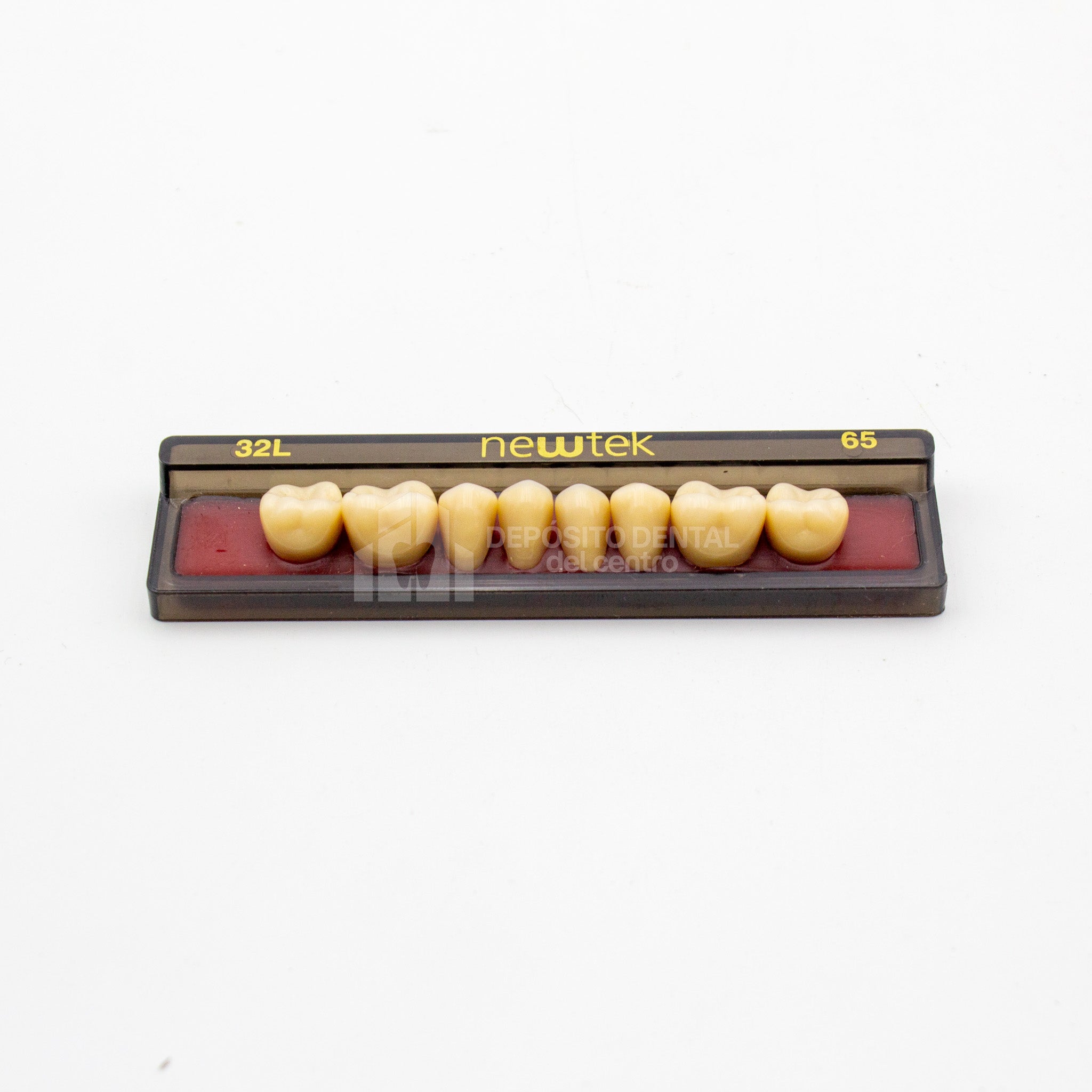 Tablilla de Dientes newtek Posteriores Inferiores 32L 65
