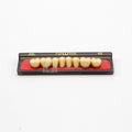 Tablilla de Dientes newtek Posteriores Inferiores 32L 62