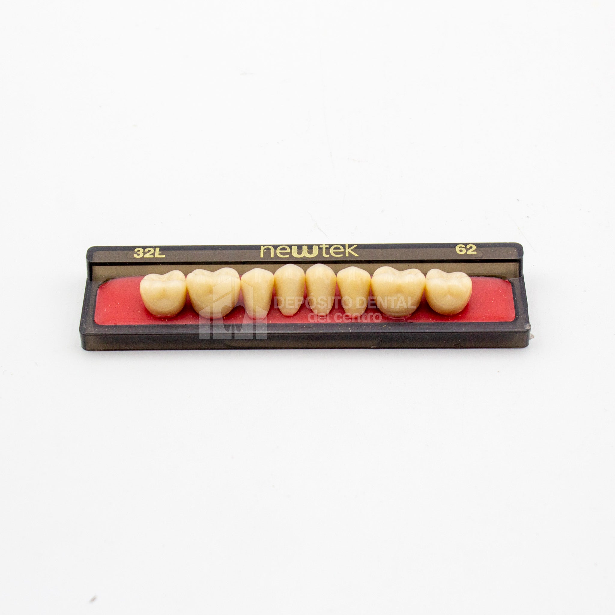 Tablilla de Dientes newtek Posteriores Inferiores 32L 62