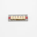 Tablilla de Dientes New Ace Anteriores Superiores T3 A3