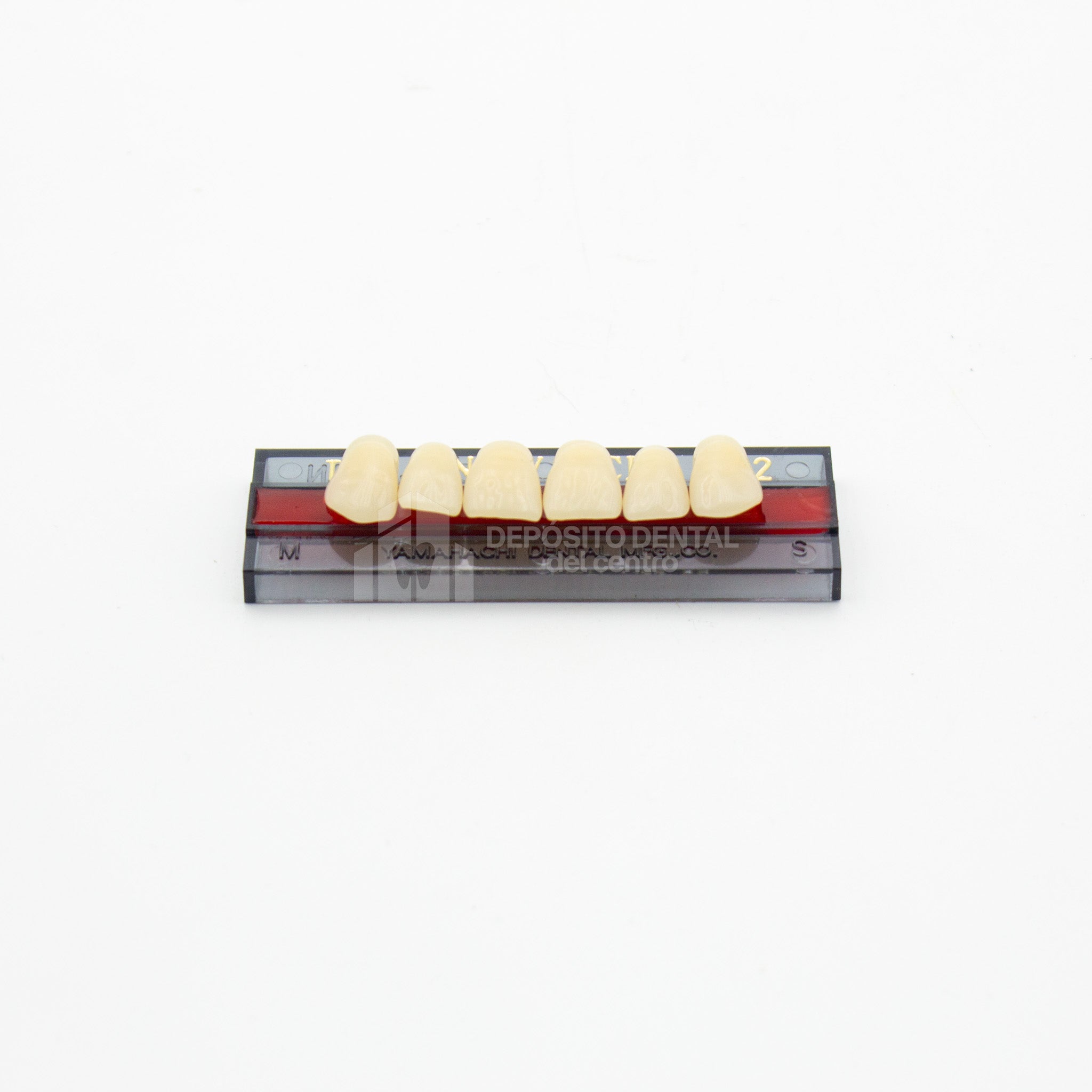 Tablilla de Dientes New Ace Anteriores Superiores T3 A2