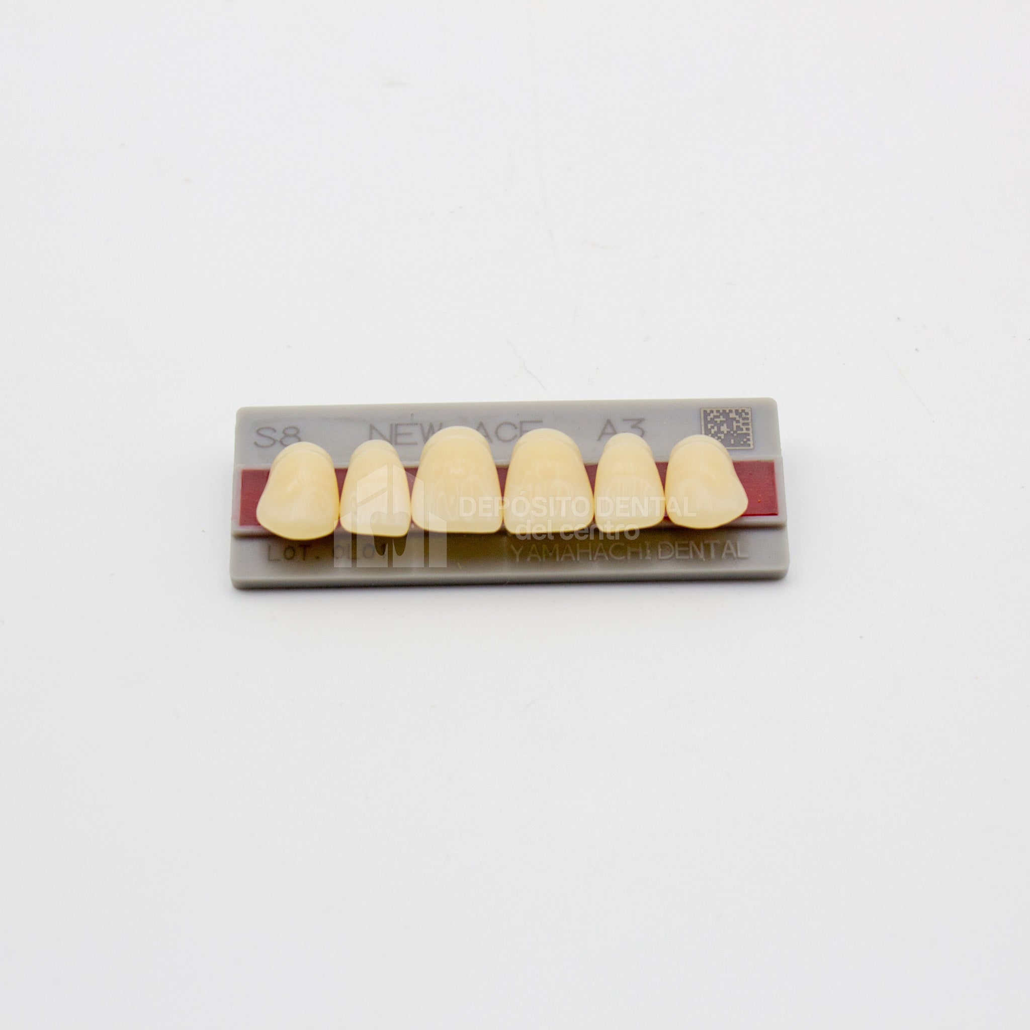 Tablilla de Dientes New Ace Anteriores Superiores S8 A3