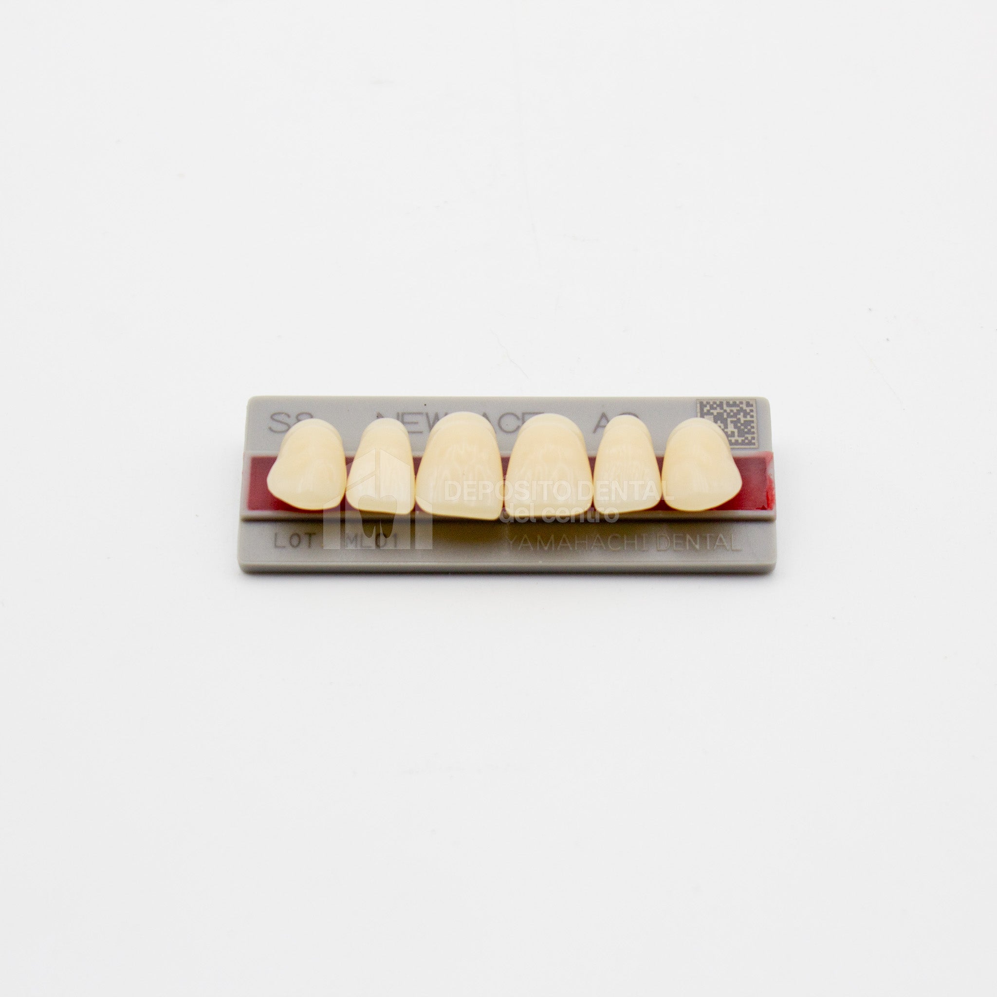 Tablilla de Dientes New Ace Anteriores Superiores S8 A2