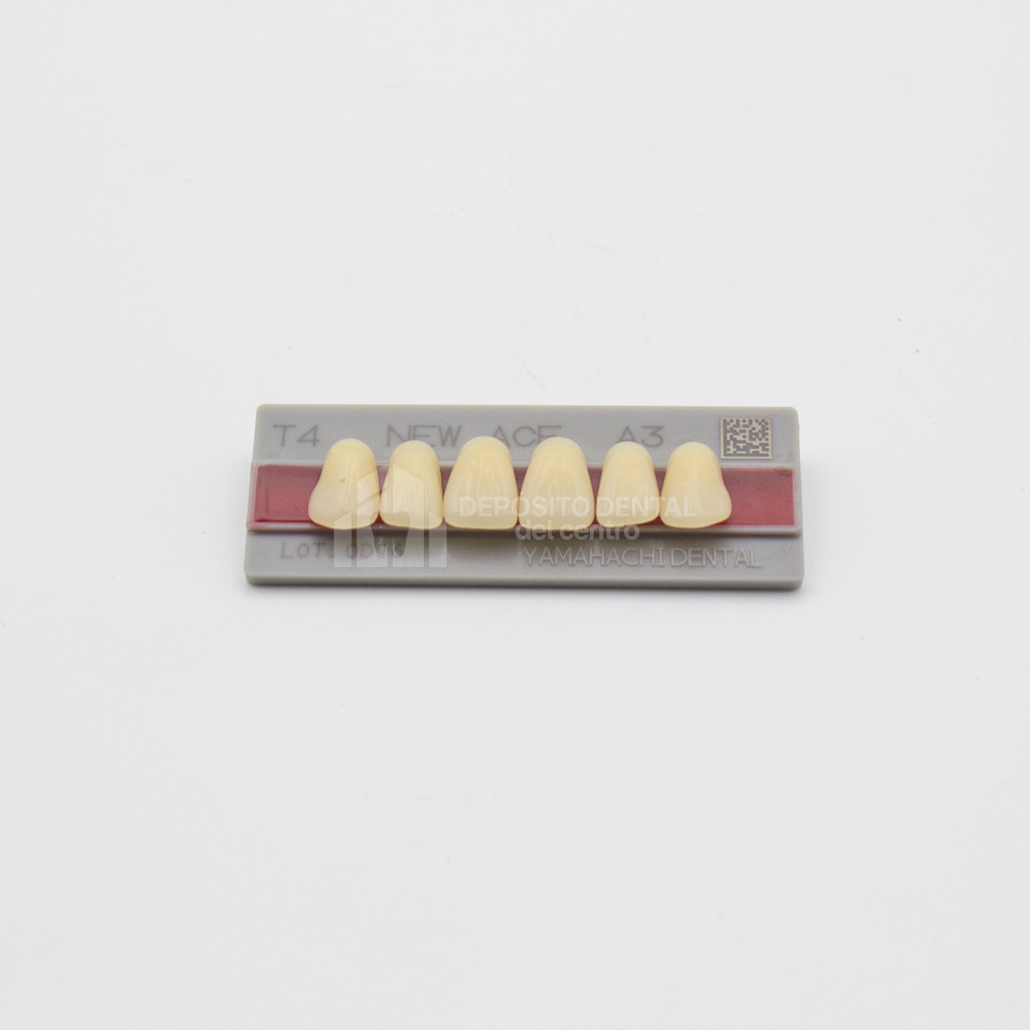 Tablilla de Dientes New Ace Anteriores Superiores T4 A3