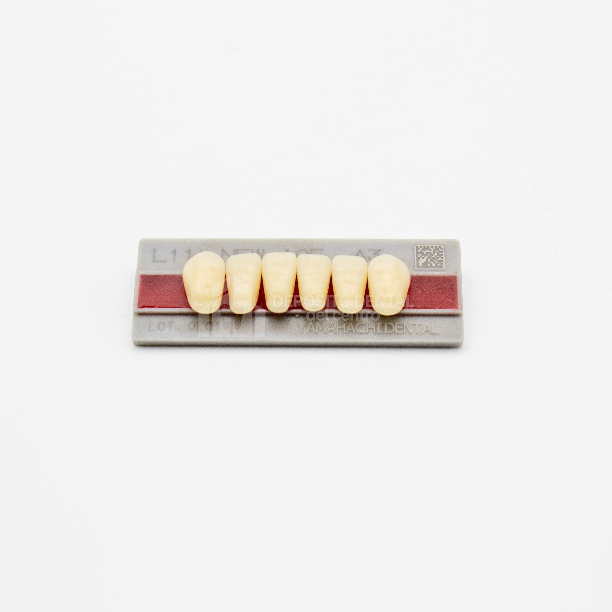 Tablilla de Dientes New Ace Anteriores Inferiores L11 A3