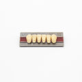Tablilla de Dientes New Ace Anteriores Inferiores L11 A2
