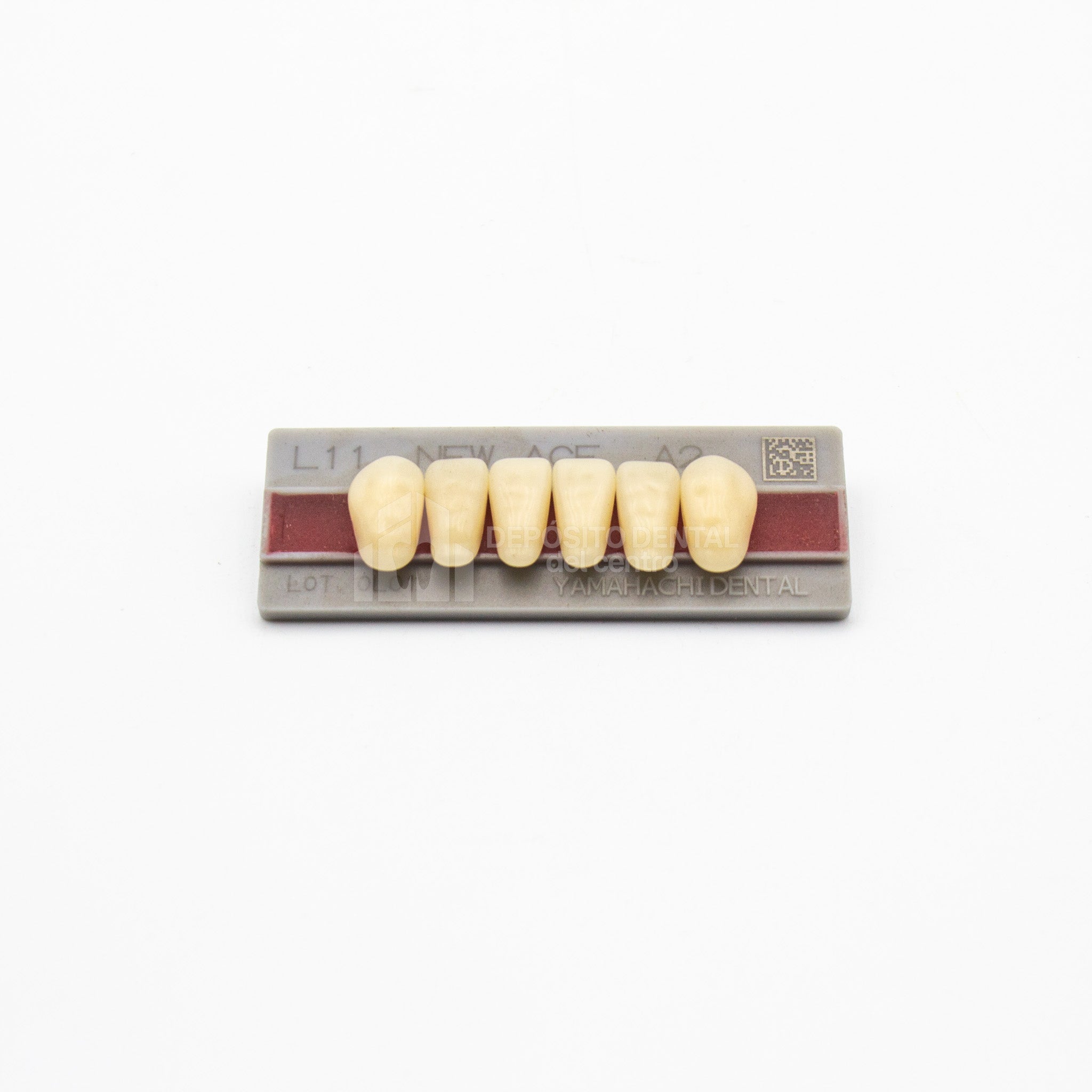 Tablilla de Dientes New Ace Anteriores Inferiores L11 A2