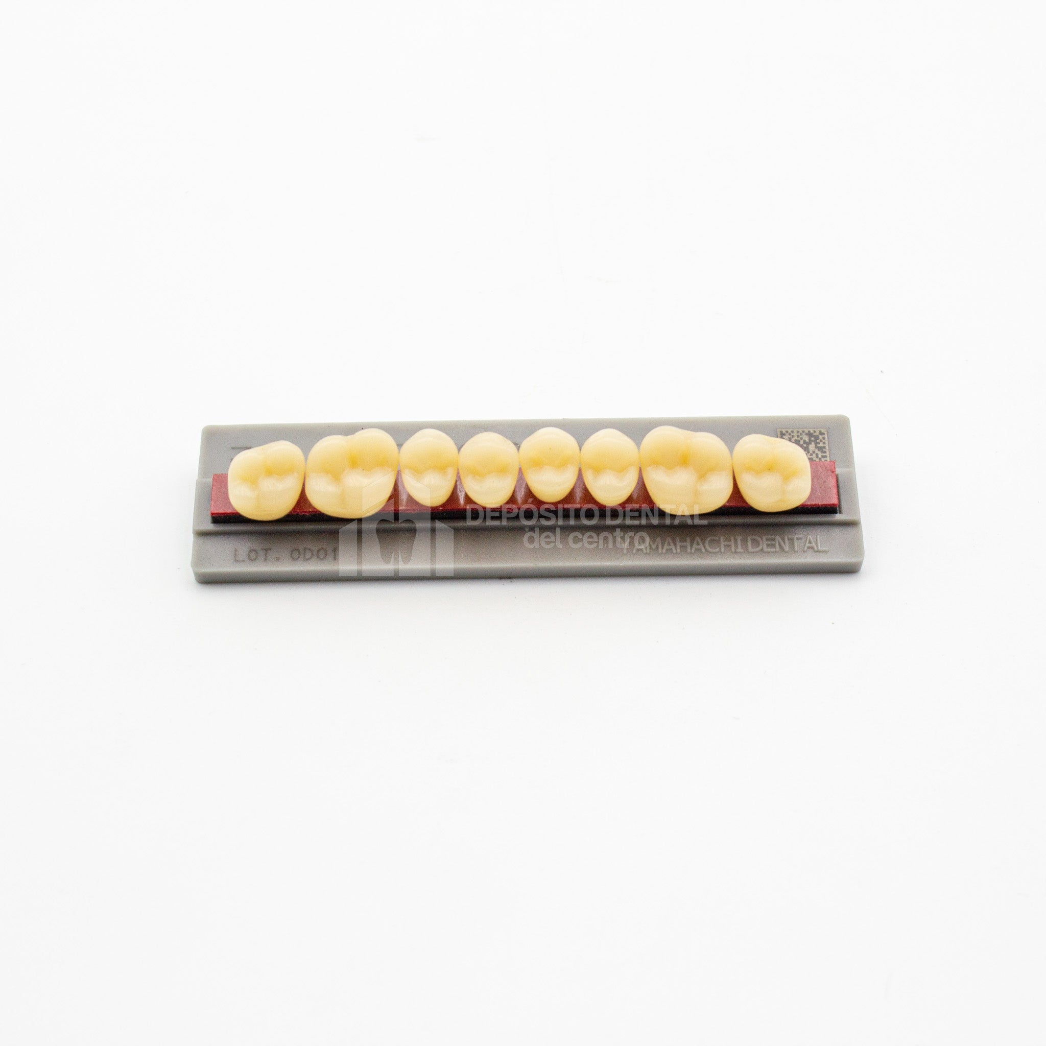 Tablilla de Dientes New Ace Posteriores Superiores 36 A2