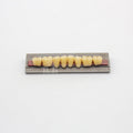 Tablilla de Dientes New Ace Posteriores Inferiores 32 A3