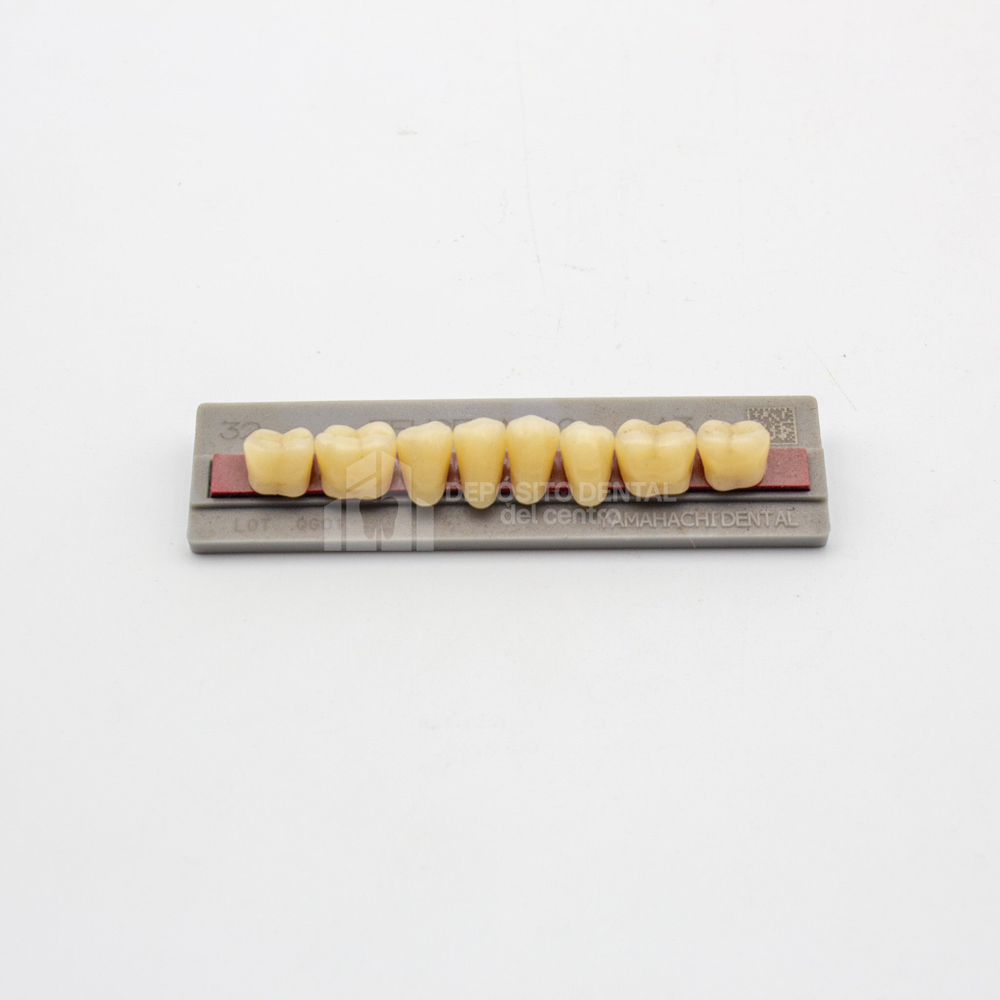 Tablilla de Dientes New Ace Posteriores Inferiores 32 A3