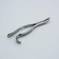 Forcep Adulto 103